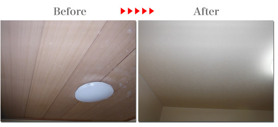 天井リフィーム画像1